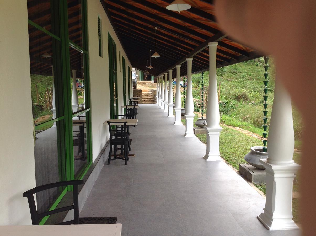 Explore Sinharaja Rain Forest Tour Camp Dombagoda Exterior foto