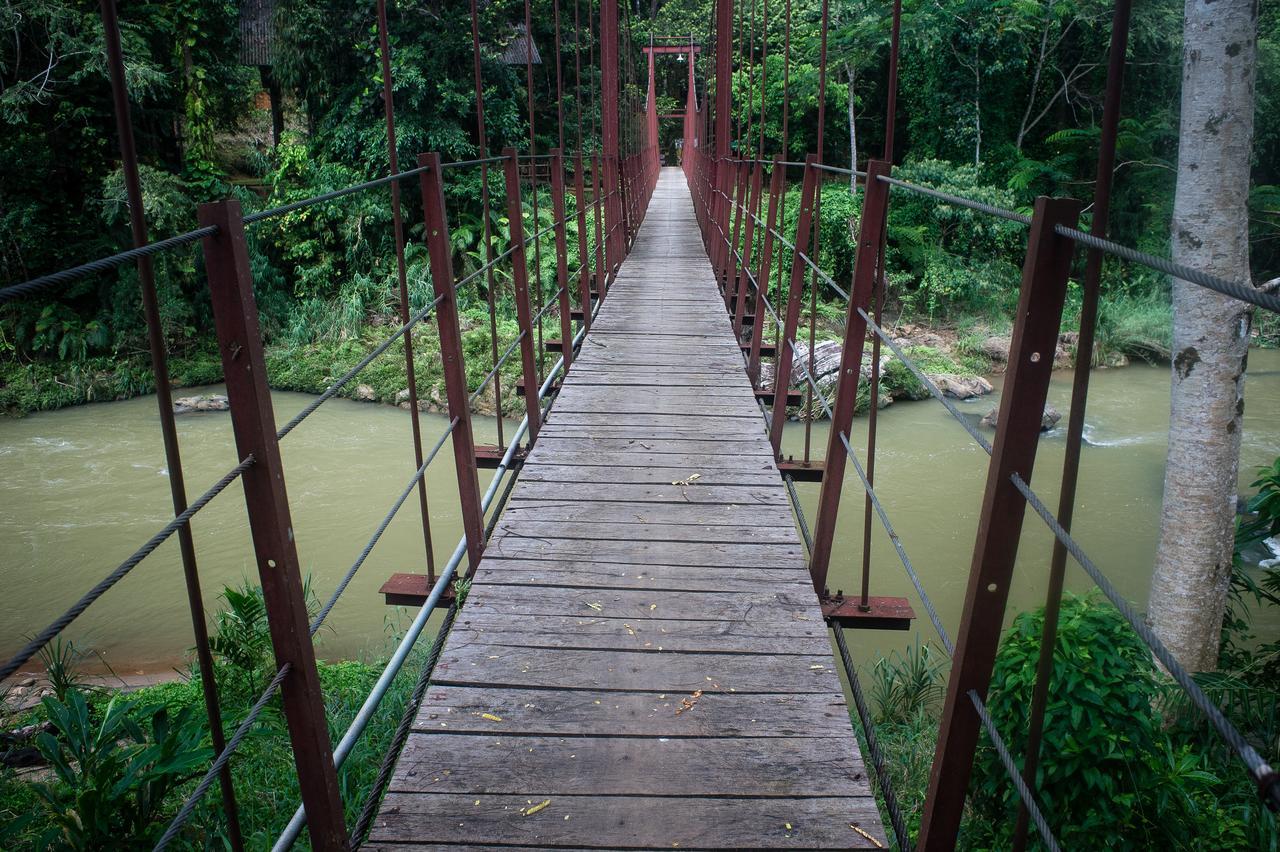 Explore Sinharaja Rain Forest Tour Camp Dombagoda Exterior foto