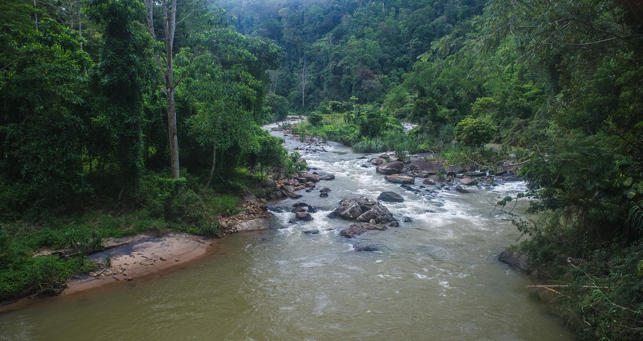 Explore Sinharaja Rain Forest Tour Camp Dombagoda Exterior foto