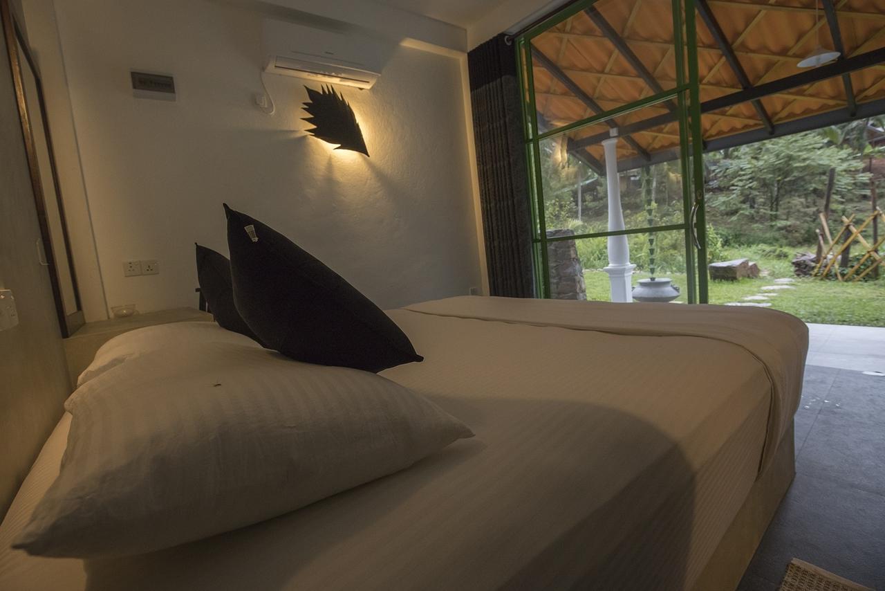 Explore Sinharaja Rain Forest Tour Camp Dombagoda Exterior foto