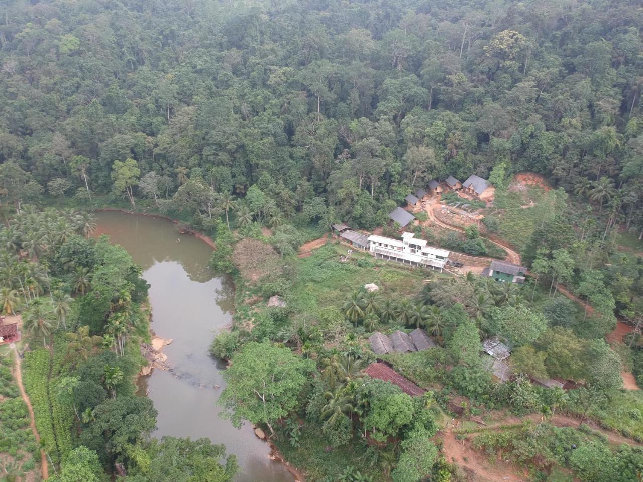 Explore Sinharaja Rain Forest Tour Camp Dombagoda Exterior foto